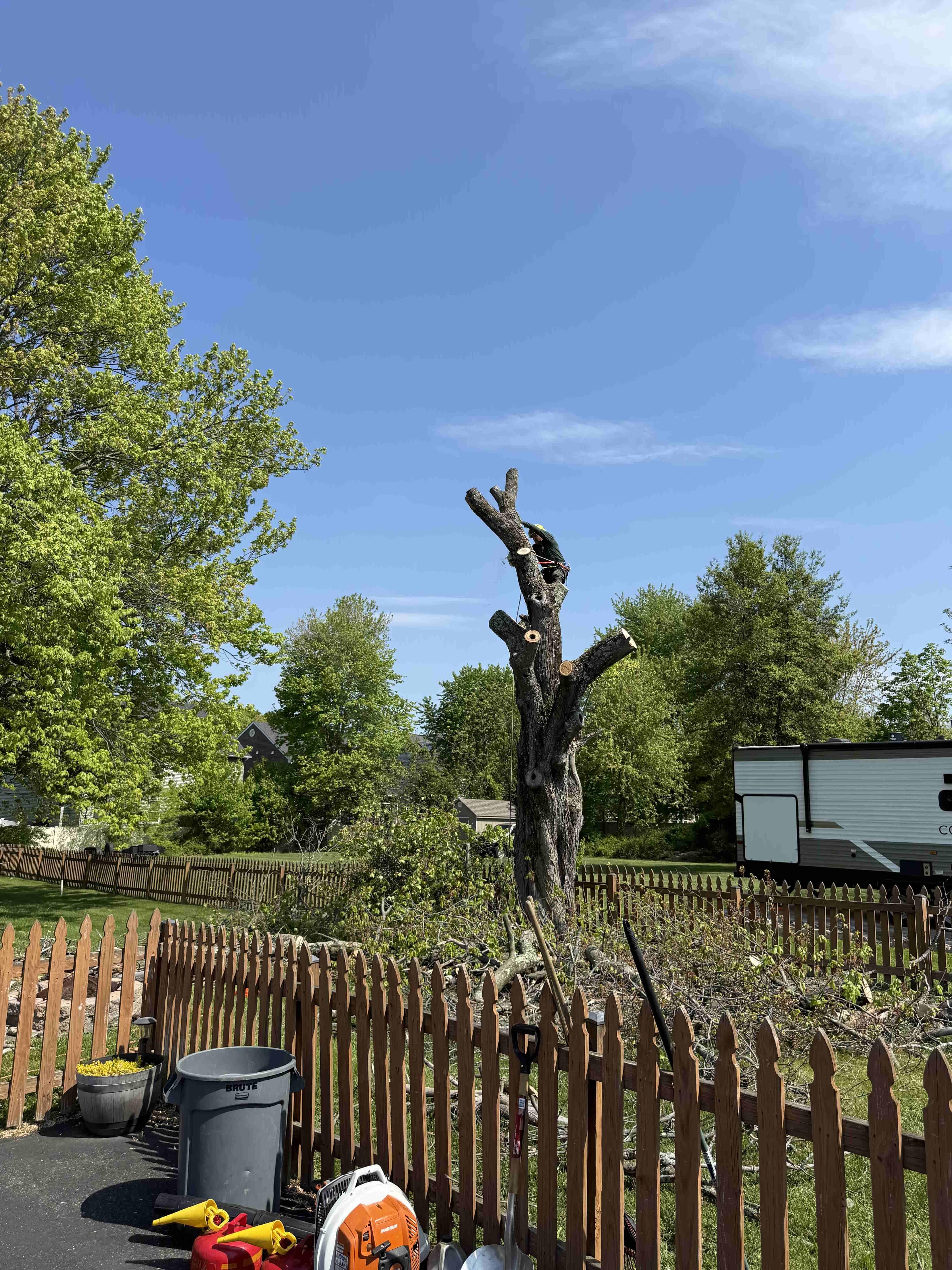 Precision Pruning